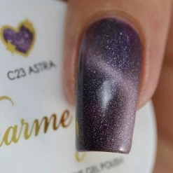 New Arrivals Charme Gel / Cat Eye C23 Astra