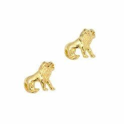 Daily Charme Lion Dollar Store