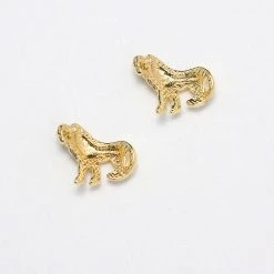 Daily Charme Lion Dollar Store