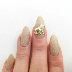 Daily Charme Lion Dollar Store