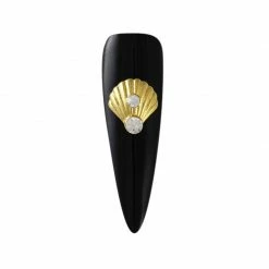 Daily Charme Shells Of The Red Sea / Gold