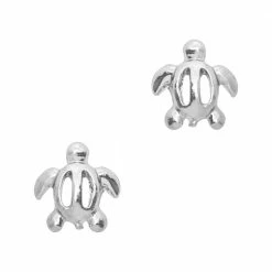 Daily Charme Sea Turtle / Silver Summer Nails