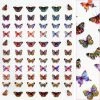 Julia Holographic Butterfly Nail Art Sticker / Kaleidoscope