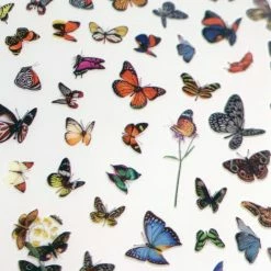 1688 - MeiCaiLin Trendy Butterfly Nail Art Sticker / Oriental