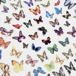 1688 - MeiCaiLin Trendy Butterfly Nail Art Sticker / Exotic