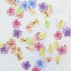 Julia Floral Soft Paper Glitter / Rainbow Hydrangea