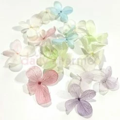 1688 - MeiCaiLin Nail Art Hydrangea Flower Petals Set / Pastel