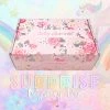 Daily Charme Surprise Mystery Nail Art Box New Arrivals