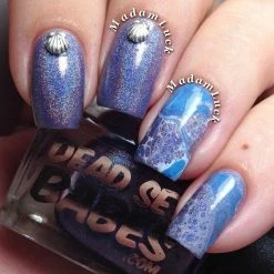 1688 Summer Nails Seashell & Starfish Set